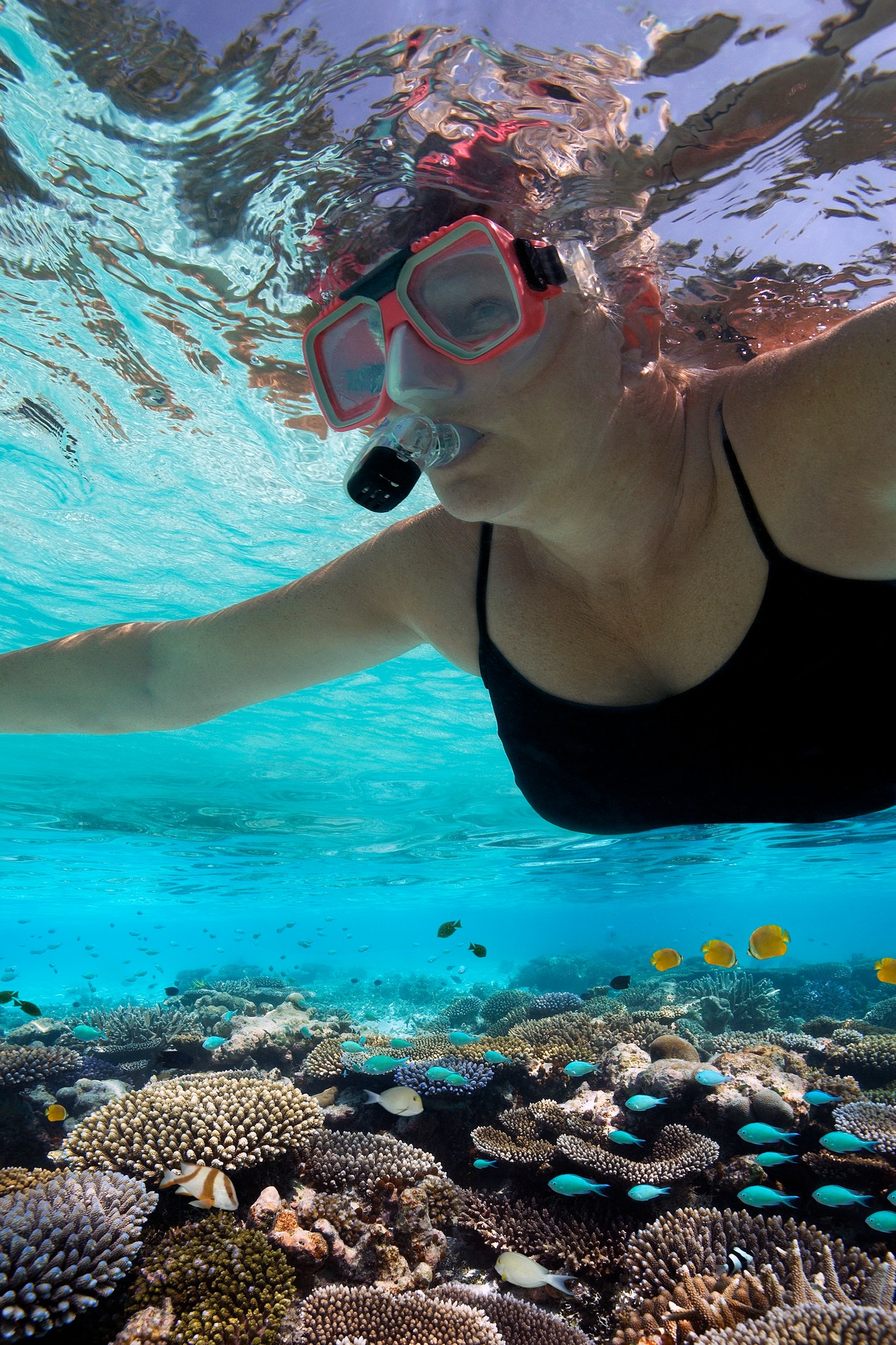 Woman snorkelling on a tropical reef in the Maldives in the Indian Ocean