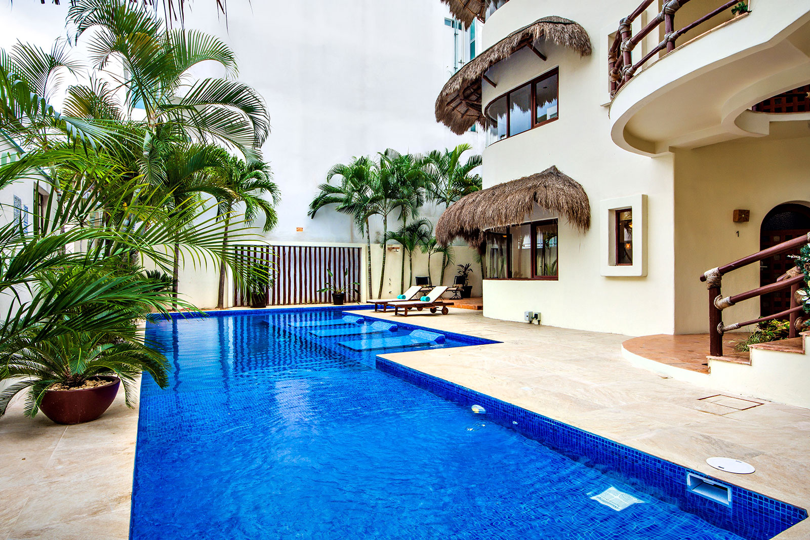 mirasol4